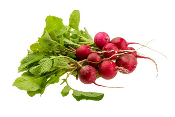 Fresh radish