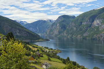 Norwegian Fjord 5