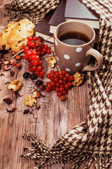 healthy tea with briar and guelder