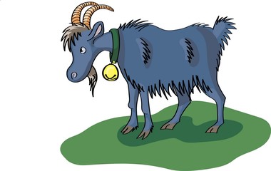 Blue goat on a meadow
