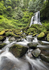 Kentucky Falls, Oregon