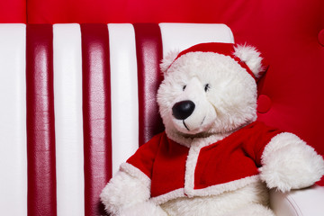 Christmas bear on the couch with a cap of Santa Claus