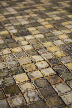 Old Floor Tiles