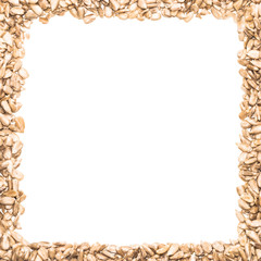 Obraz premium A square frame made from sunflower seeds