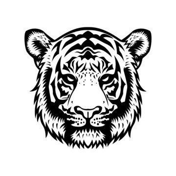 Tiger Head BW