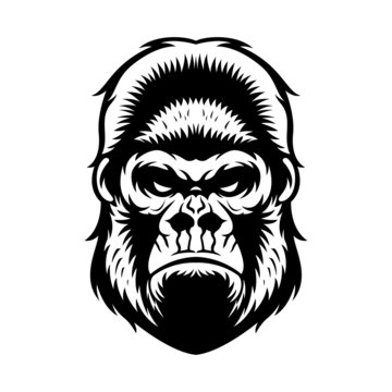 Gorilla Head BW