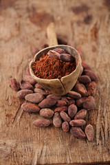 cocoa powder in spoon on roasted cocoa chocolate beans backgroun