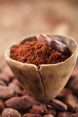 cocoa powder in spoon on roasted cocoa chocolate beans backgroun