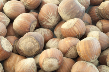 hazelnuts
