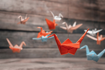 Colorful origami paper cranes - obrazy, fototapety, plakaty