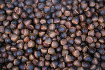 Fresh chestnuts on pan