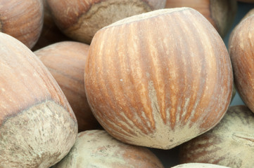 hazelnuts