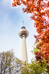 Berliner Fernsehturm tower in Berlin and leaves