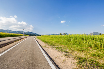 bike lane