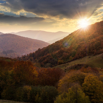 autumn forest on a  mountain slope at sunset
