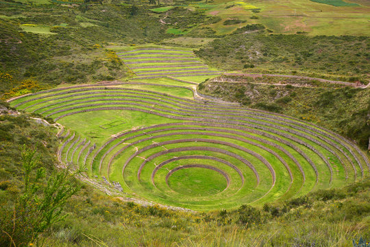 inca agriculture field