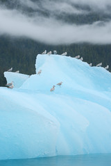 blue iceberg