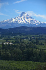 Fototapeta premium mount hood