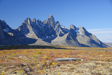 tombstone yukon