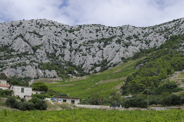 hvar landscape