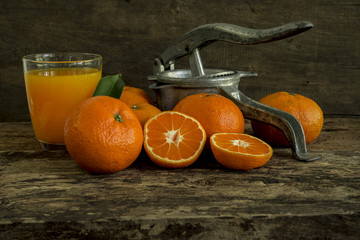 still life tangerines and juicer