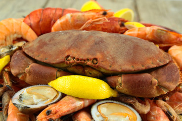 plateau de fruits de mer
