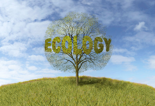 ecology text on a tree