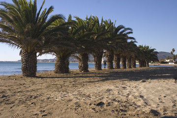 Playa del morrongo de Benicarló 7