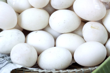 close up of white eggs
