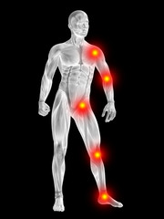 3D human man anatomy with articular pain