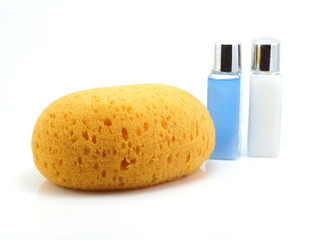 bath sponge on white background