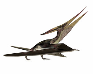 Pteranodon walking - 3D render © Elenarts