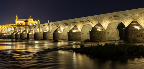Fototapeta na wymiar Cordoba Bridge during night