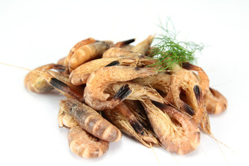 crevettes grises
