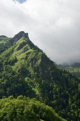 Pyrenees