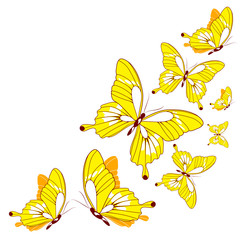 butterflies design