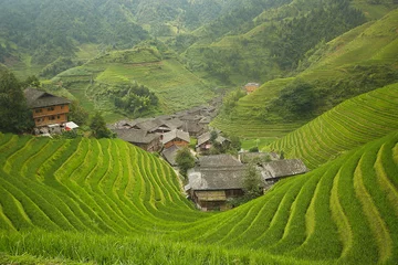 Poster Longji rice fields, Dragon Hill. Ping'an, China © javigarlu