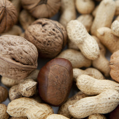 fruits secs d'automne