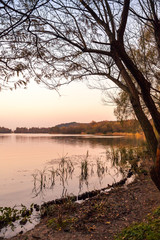 Autumn trees silhouettes on the coast, Hangzhou, China