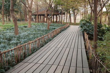 Obraz premium West Lake park in Hangzhou city, China. Wooden pathway