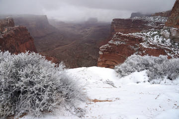 snow in utah cliff