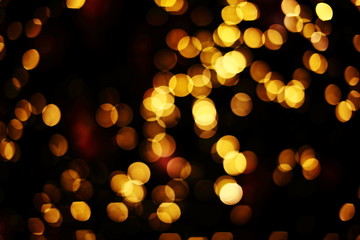 Pictures from the Christmas tree bokeh