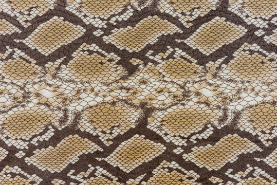 texture of fabric stripes snake leather