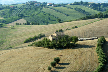 Marches (Italy): summer landscape