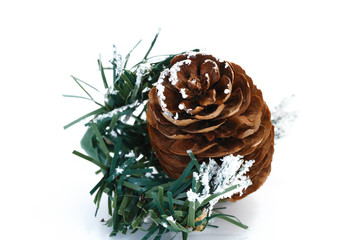 The cones of spruce