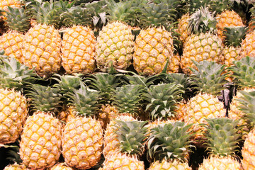 Colorful of pineapples in market