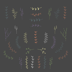 Hand-drawn branches graphic design elements set