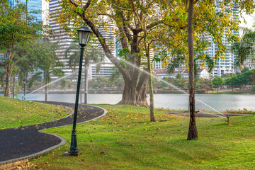 Garden in Bangkok city, Thailand