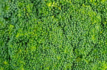 Green background texture of broccoli head