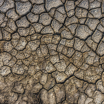 Dry cracked soil of salt evaporation pond
